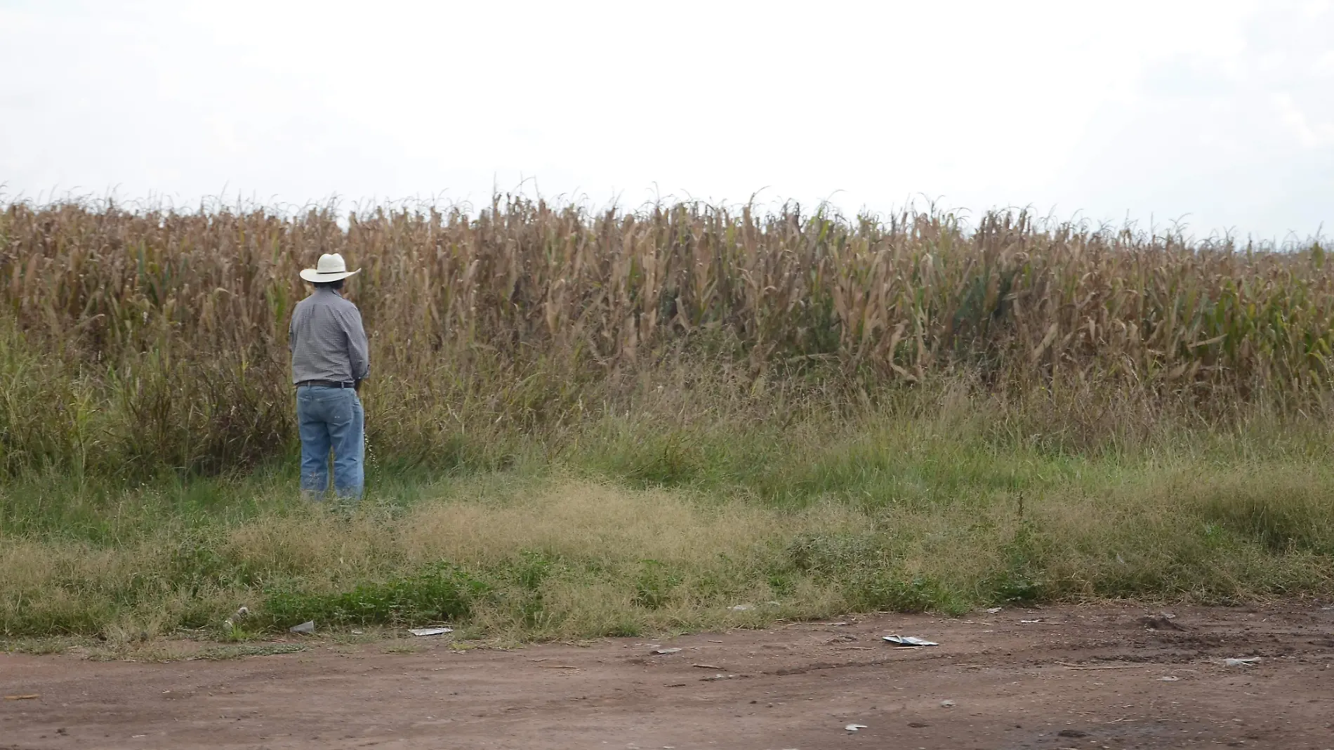 Distribuirán apoyos a productores del campo en Pedro Escobedo. Foto Jacob Cabello